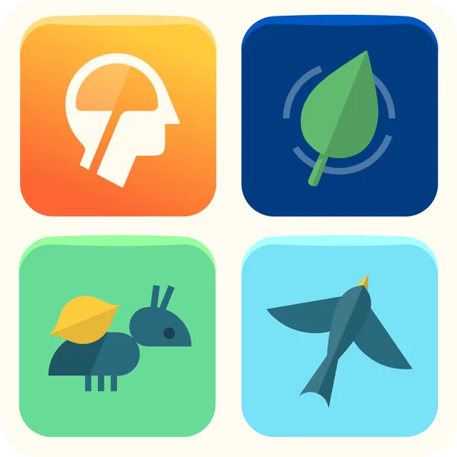 app.lumosity.com ad creative: Your Daily Brain Workout