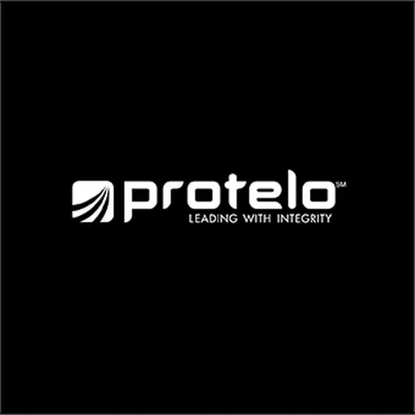 proteloinc.com ad creative: Protelo | NetSuite Experts