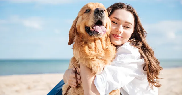 CompareGround ad creative: Best Pet Insurance Plans Compared 2026