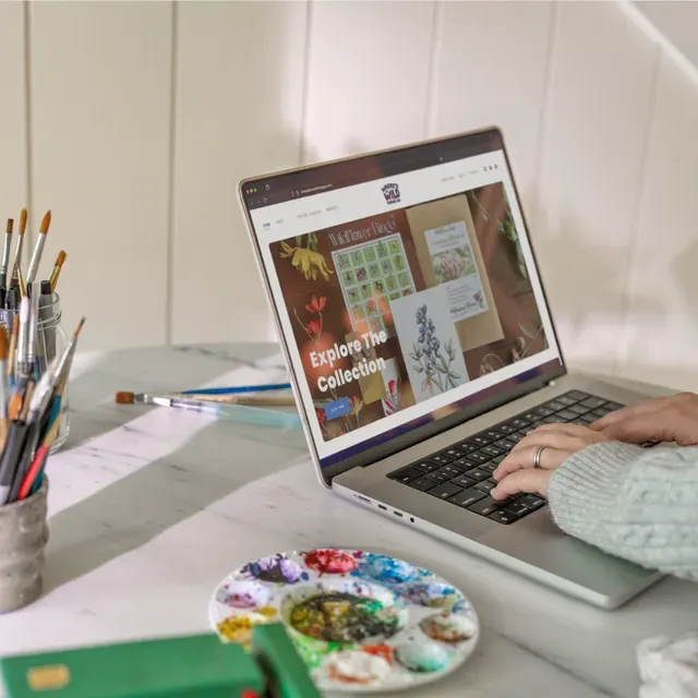 GoDaddy ad creative: World's #1 Domain Provider