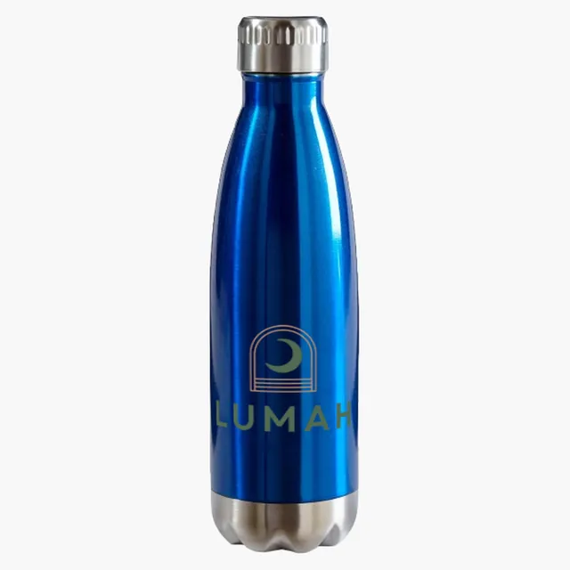 VistaPrint US ad creative: Double-Wall Stainless Steel Vacuum Insulated Bottle – 16 oz.