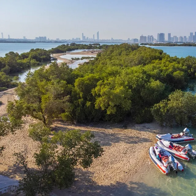 GetYourGuide ad creative: Top things to do in Abu Dhabi