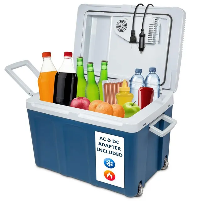 Home Depot ad creative: Ivation Electric Cooler (45 L), Thermoelectric Cooler, 12V Cooler and Car Fridge