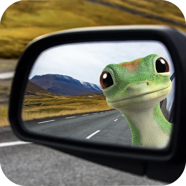 GEICO ad creative: Free Online Quotes 24/7