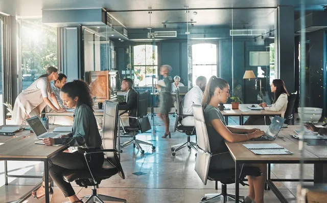 WolfPack Advising ad creative: Advertising Management Services